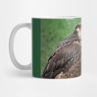 Kestrel Mug